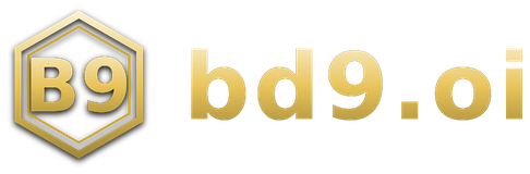 bd9.oi logo